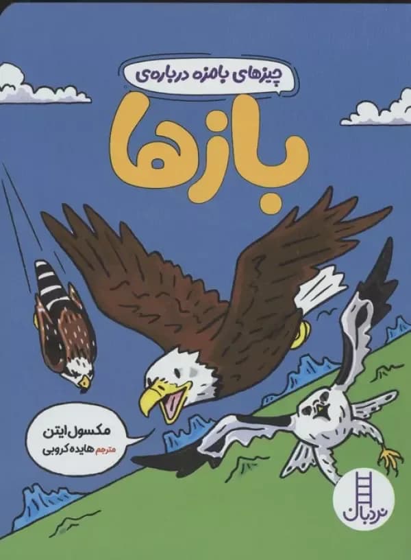 چیزهای بامزه درباره ی بازها